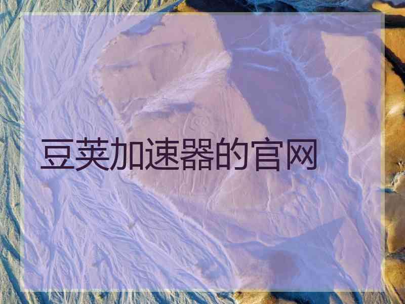 豆荚加速器的官网