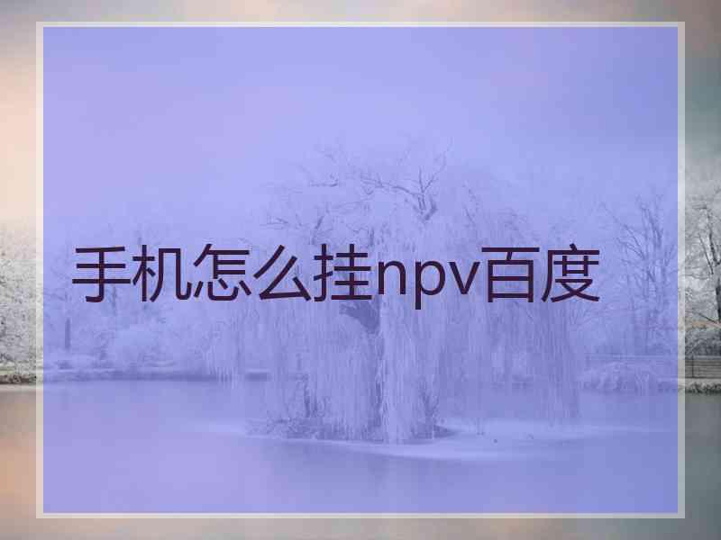 手机怎么挂npv百度