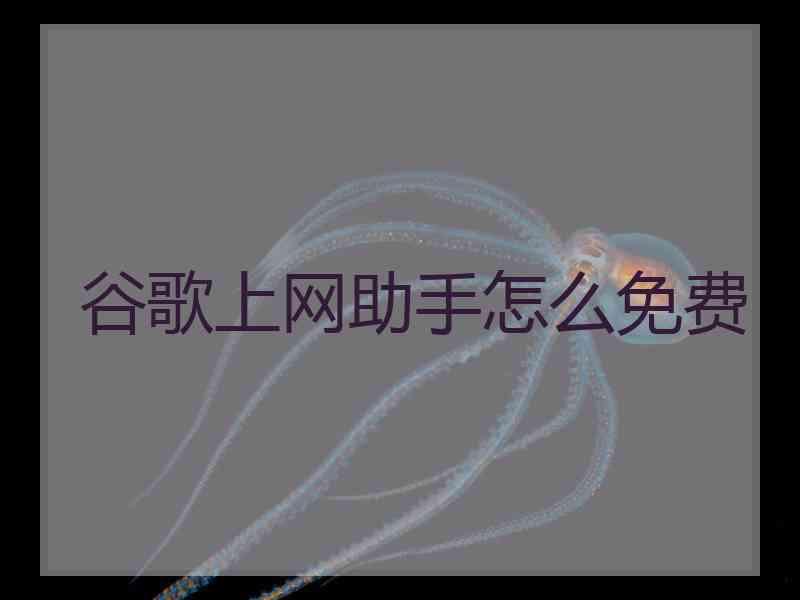 谷歌上网助手怎么免费