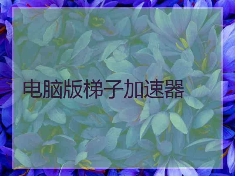 电脑版梯子加速器