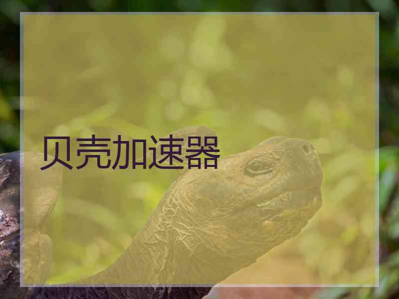 贝壳加速器