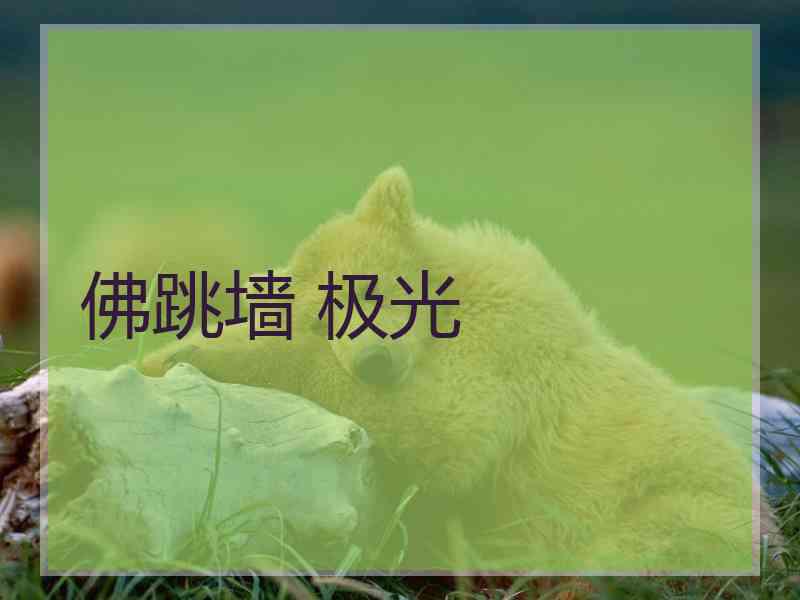 佛跳墙 极光