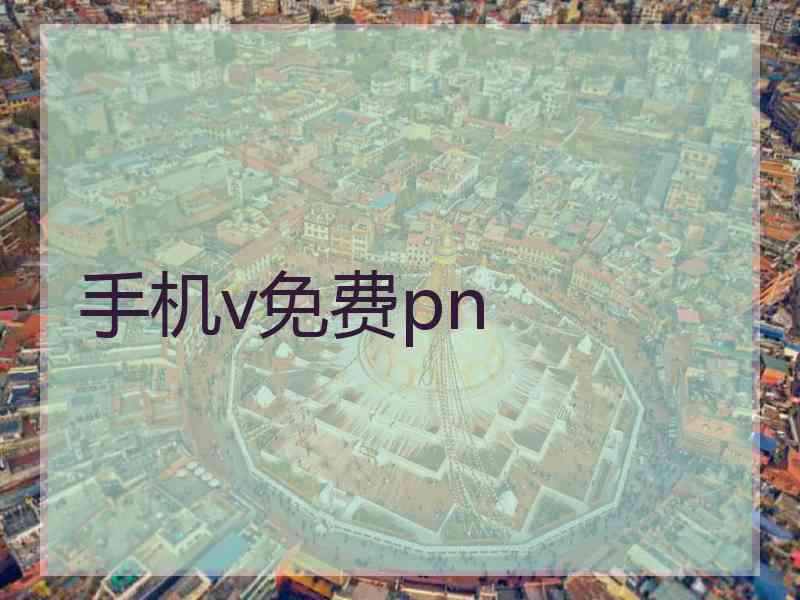 手机v免费pn