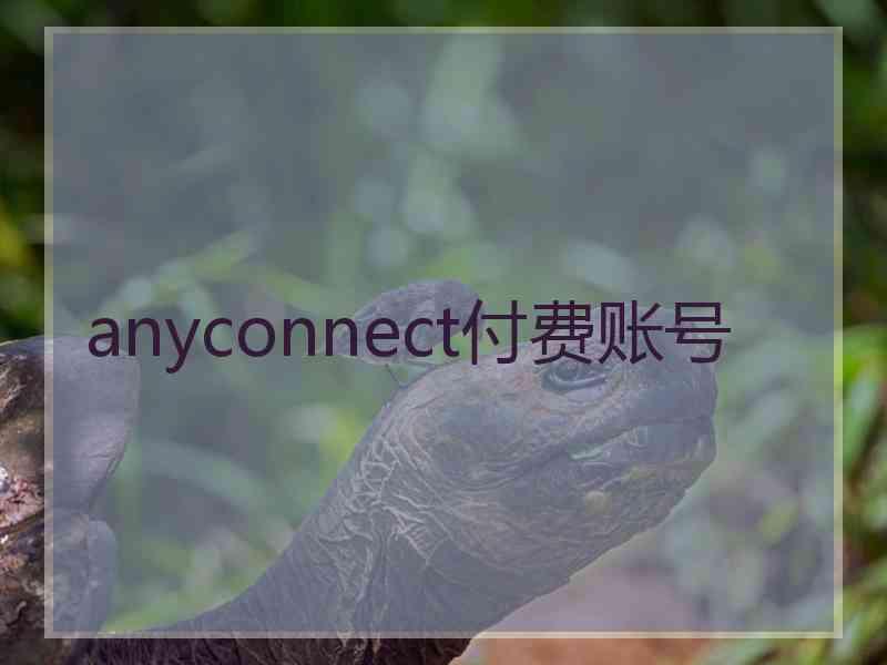 anyconnect付费账号