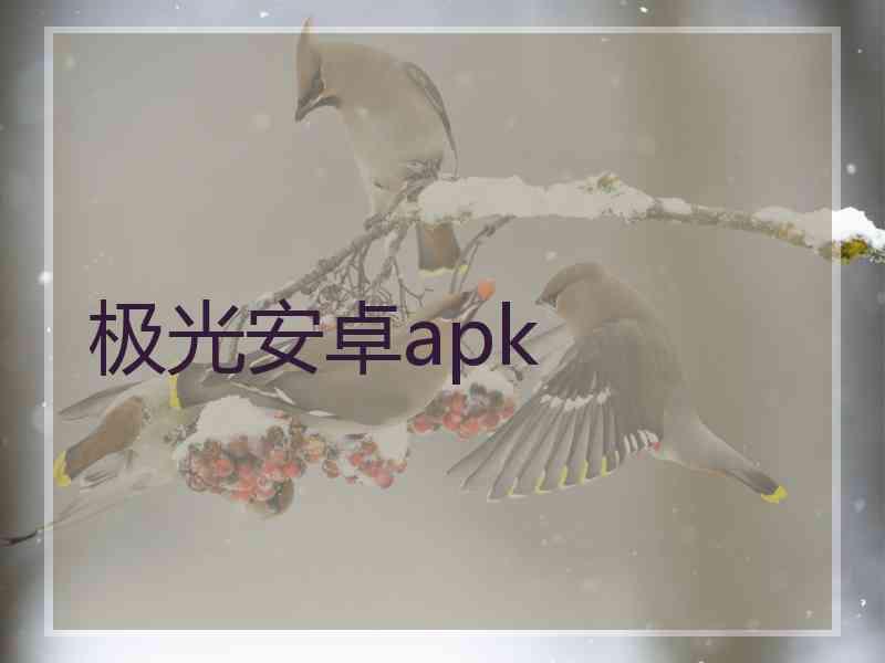 极光安卓apk