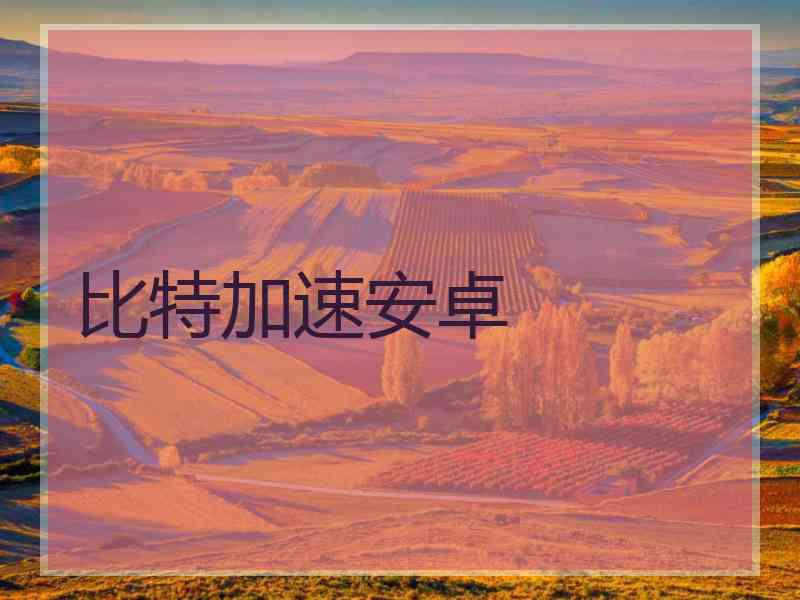 比特加速安卓