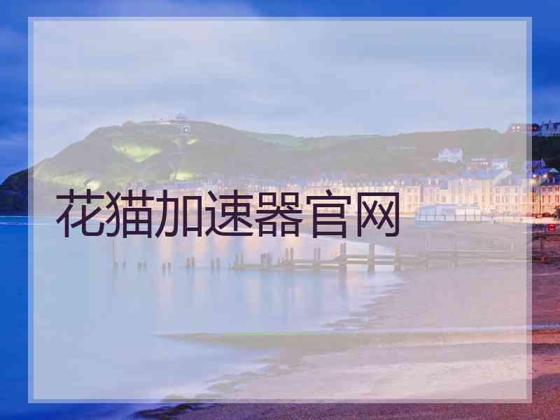 花猫加速器官网