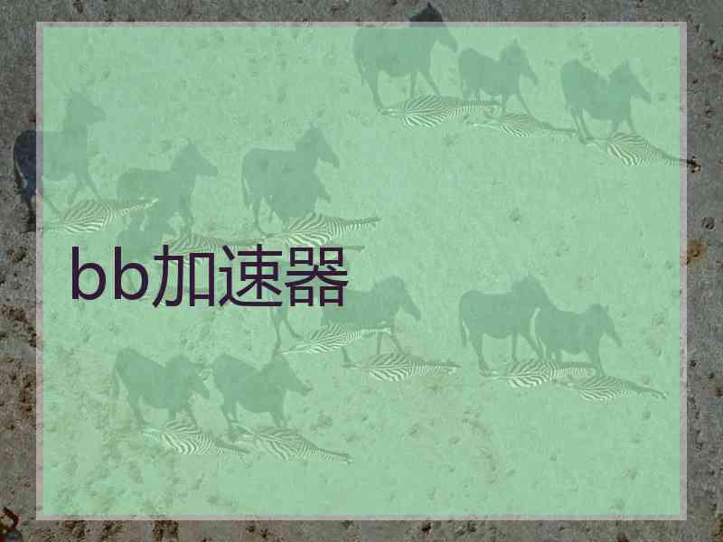 bb加速器