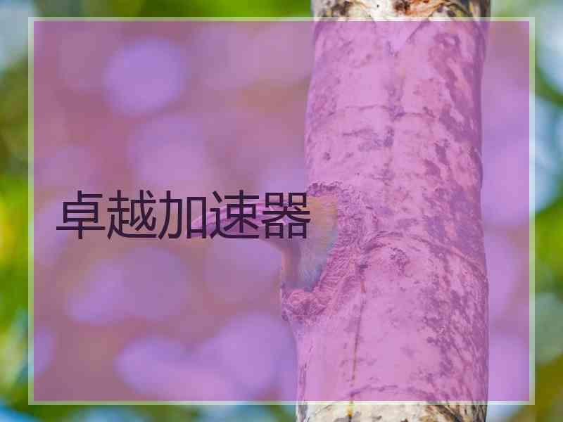 卓越加速器