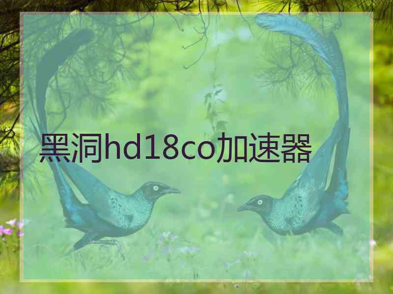 黑洞hd18co加速器