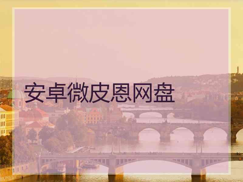 安卓微皮恩网盘