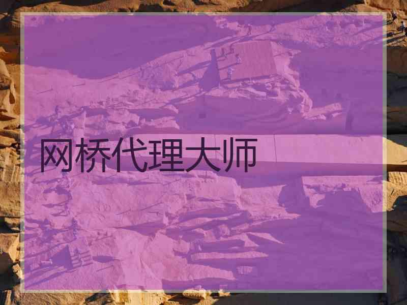网桥代理大师