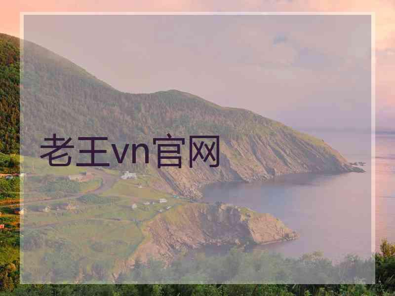 老王vn官网