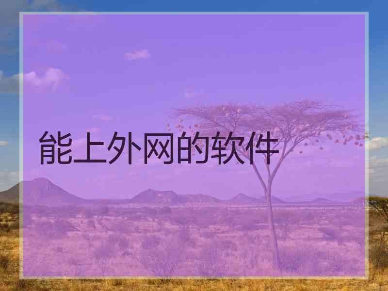 能上外网的软件