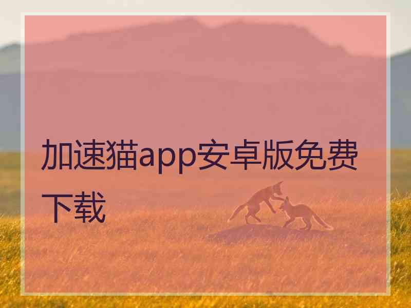 加速猫app安卓版免费下载