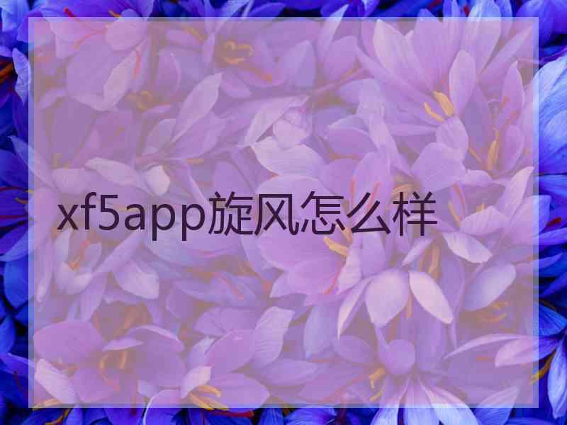 xf5app旋风怎么样