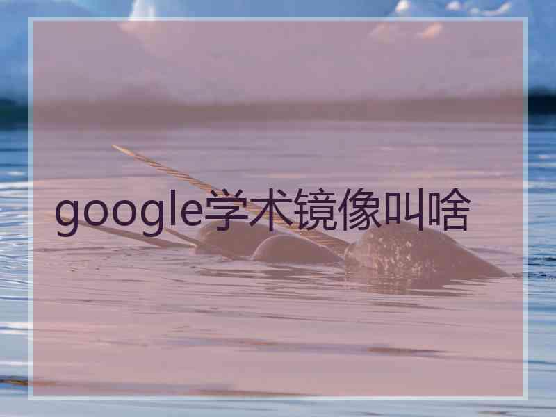google学术镜像叫啥