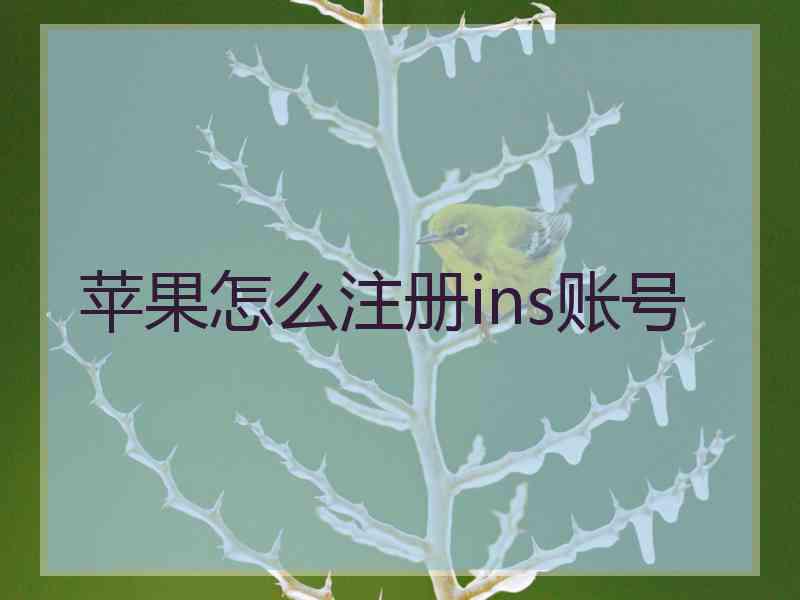 苹果怎么注册ins账号