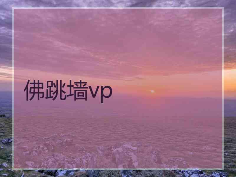 佛跳墙vp