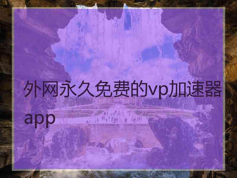 外网永久免费的vp加速器app