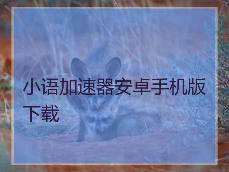 小语加速器安卓手机版下载