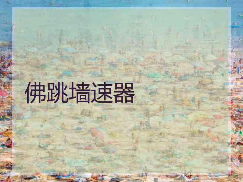 佛跳墙速器