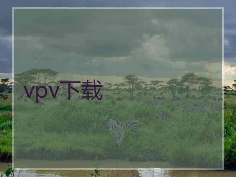 vpv下载