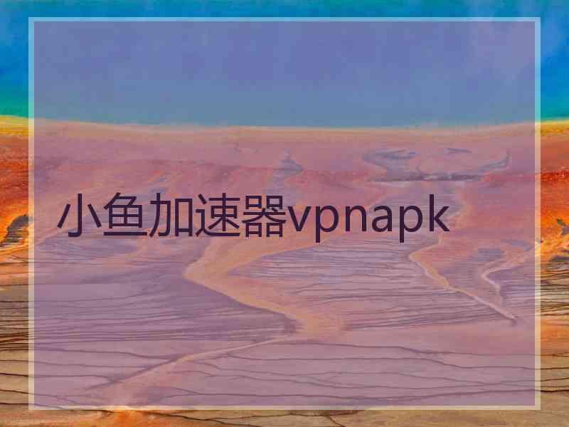 小鱼加速器vpnapk