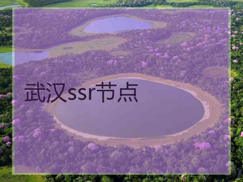 武汉ssr节点
