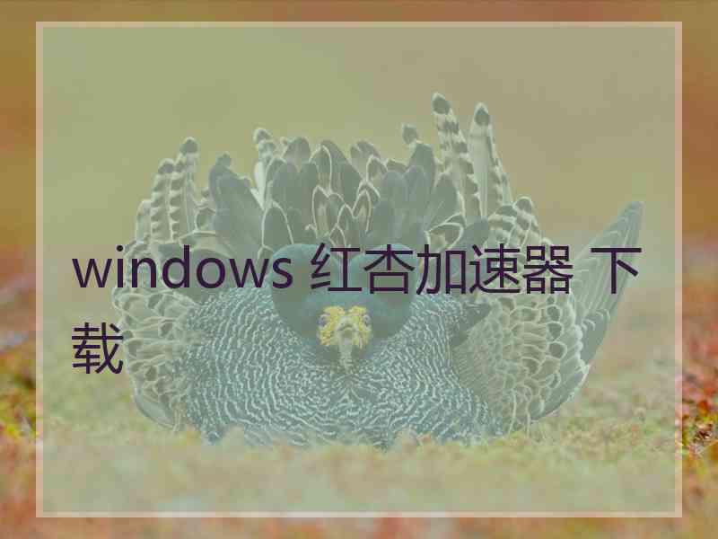 windows 红杏加速器 下载