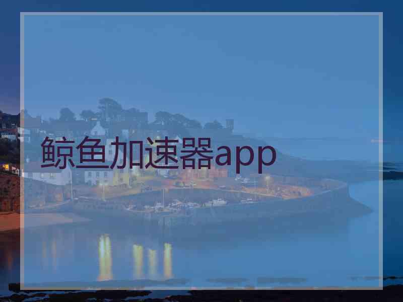 鲸鱼加速器app