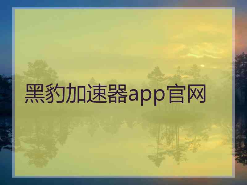 黑豹加速器app官网