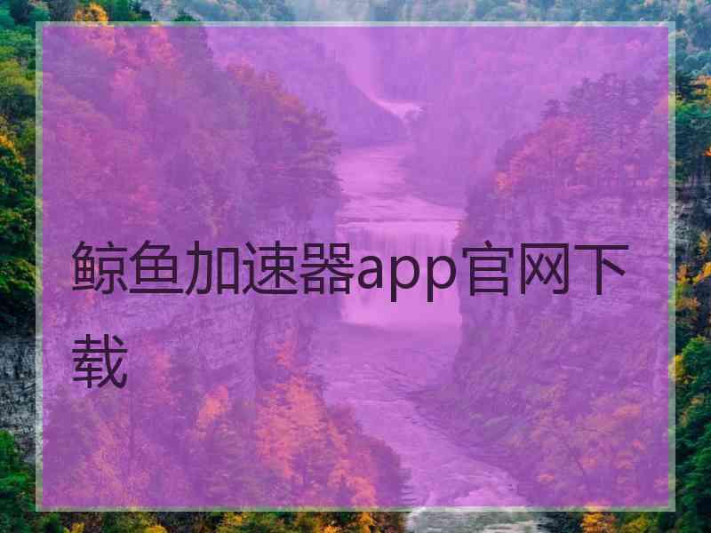 鲸鱼加速器app官网下载