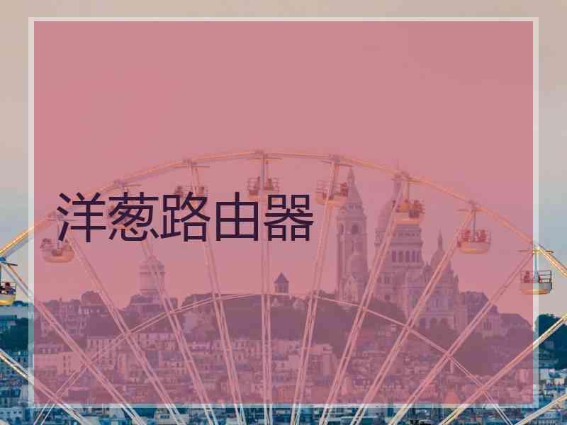 洋葱路由器
