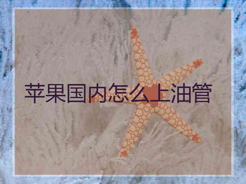 苹果国内怎么上油管