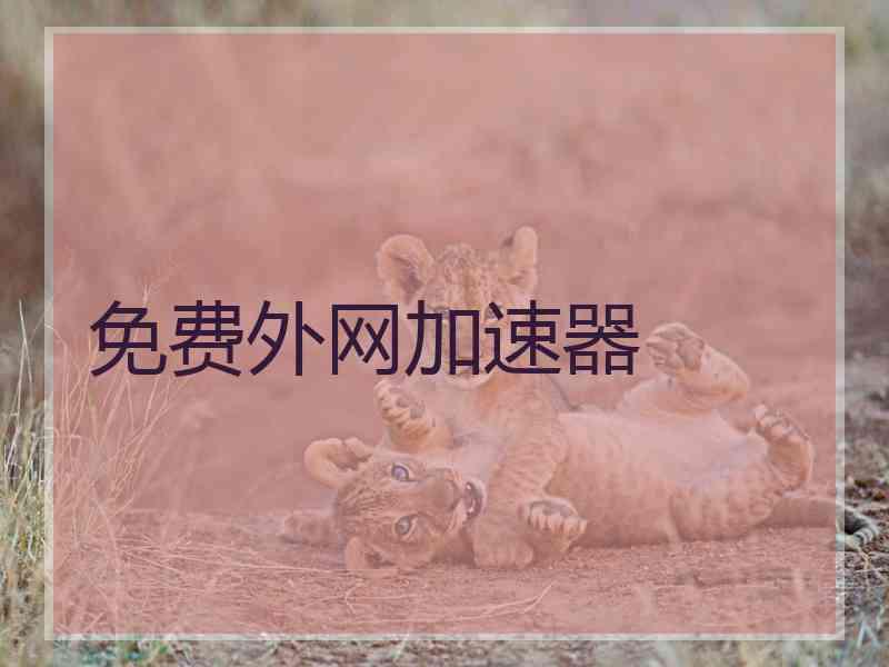 免费外网加速器