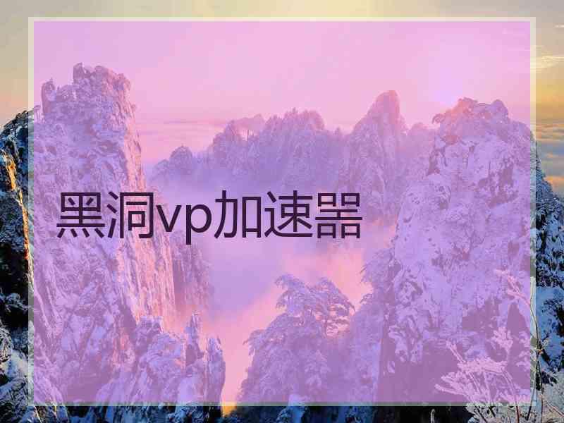 黑洞vp加速噐