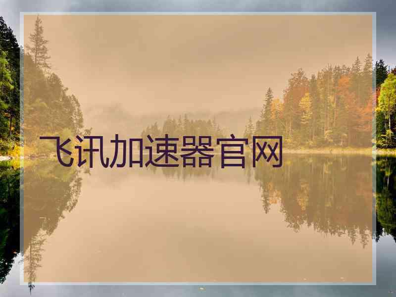 飞讯加速器官网