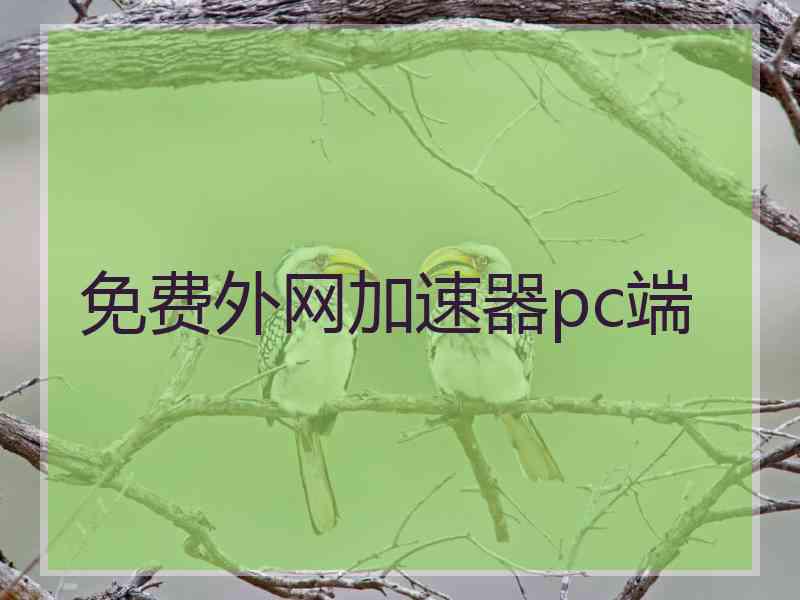 免费外网加速器pc端
