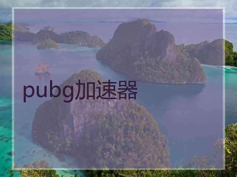 pubg加速器