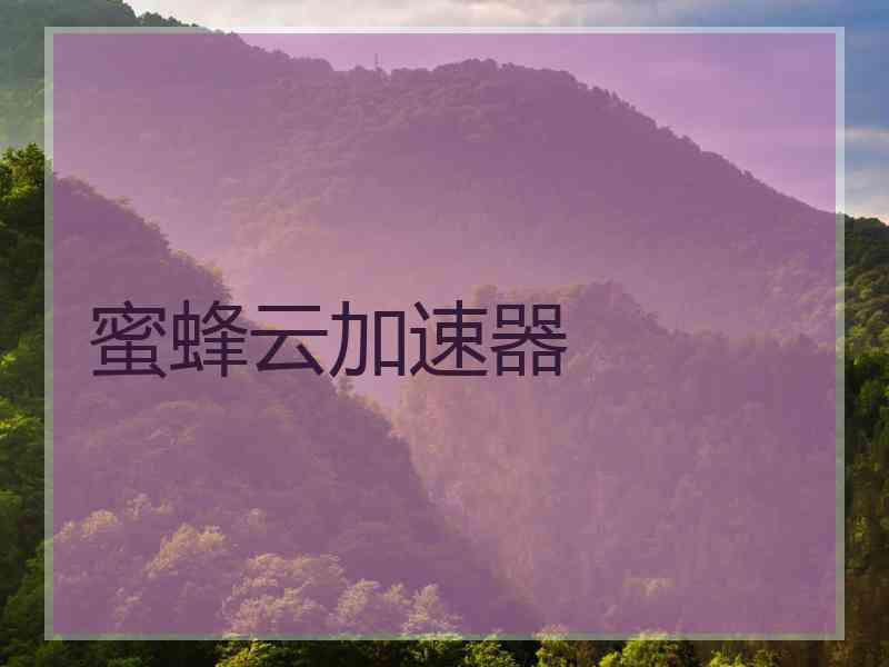 蜜蜂云加速器