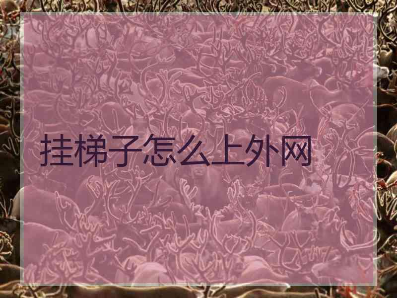 挂梯子怎么上外网