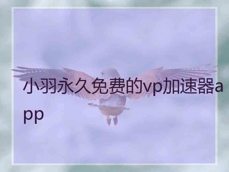 小羽永久免费的vp加速器app