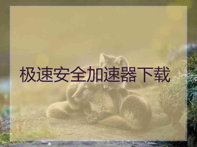 极速安全加速器下载