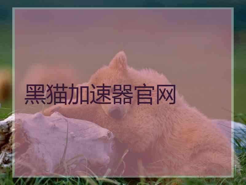 黑猫加速器官网