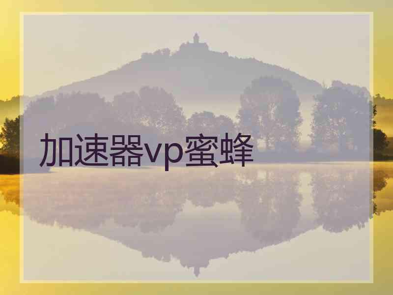 加速器vp蜜蜂