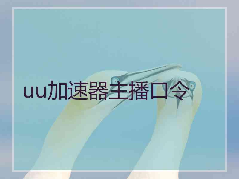 uu加速器主播口令