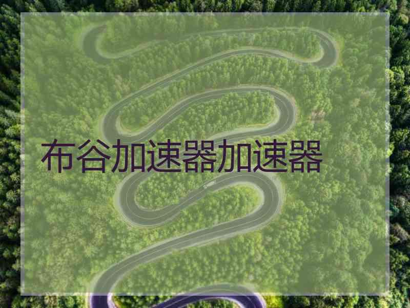 布谷加速器加速器