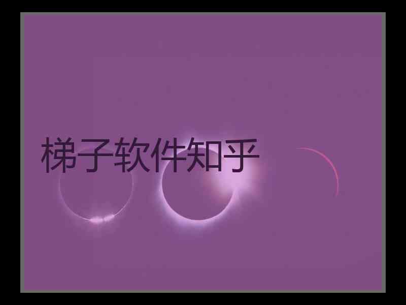 梯子软件知乎