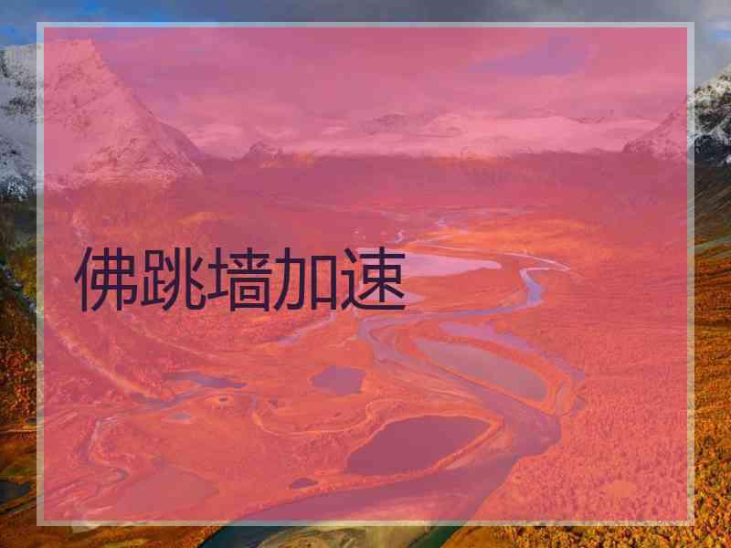 佛跳墙加速